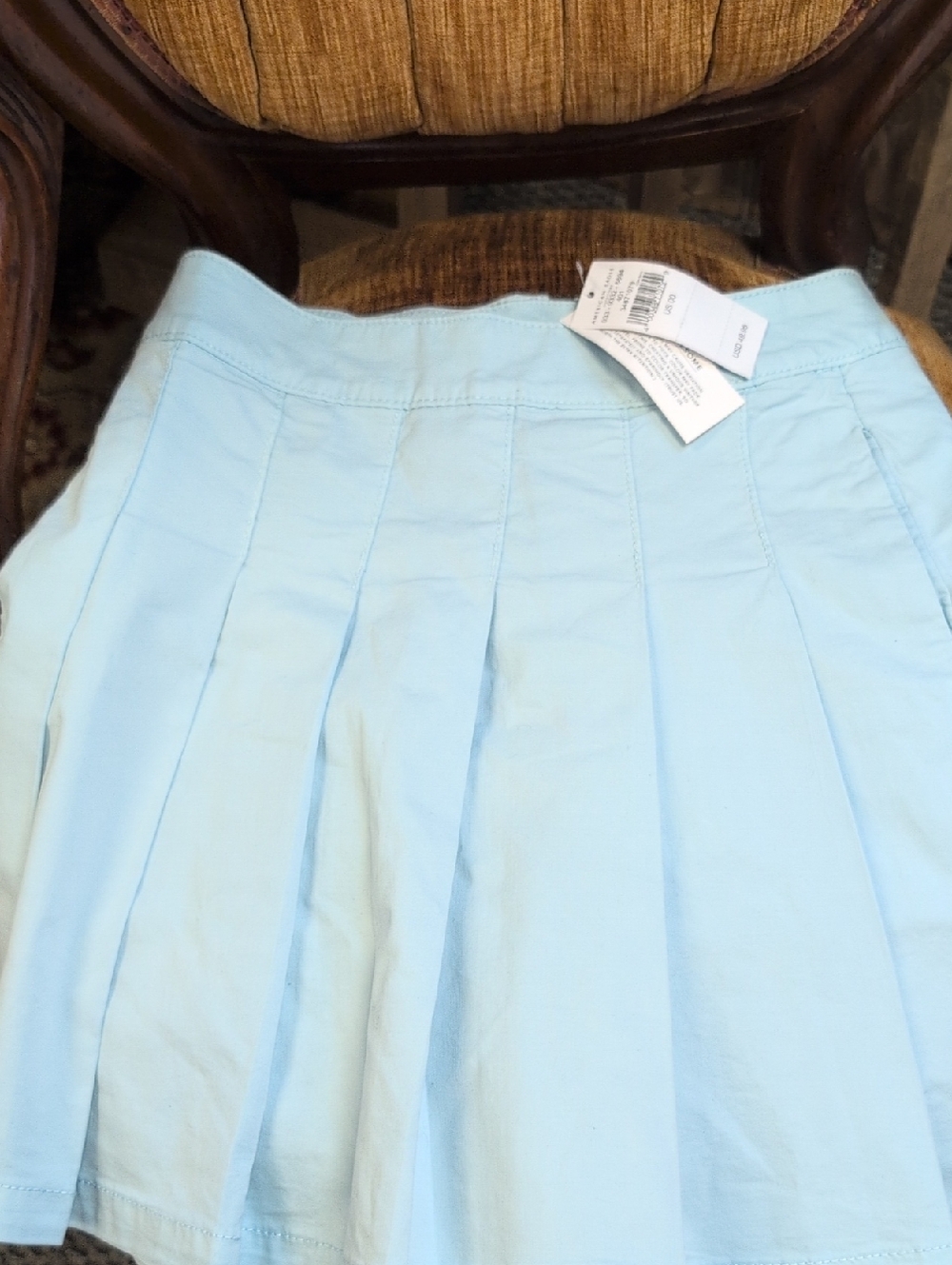 American Eagle Outfitters Light Blue Pleated Skater Skirt